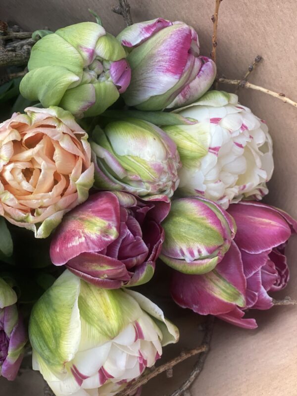 Blumenstrauß – Bild 2